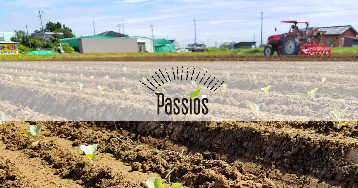 株式会社パシオス